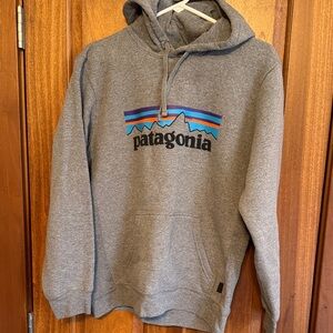 Patagonia Gray Hoodie with Logo Design